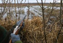 3fcbc033-ce58-49dc-adc4-0636ef8fdad7-67951d4a