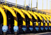 61878ff1-ed1d-4ac2-a64d-5bdd17825d4c-6761b365