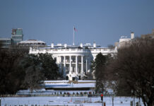 68ba9a6d-100f-4792-a646-4edfea1cbdb5-67641e6b