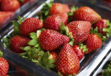 Клубника – незаменимый помощник в поддержании здоровья сердца 745dce42-179e-4136-ab69-94a6122f5111-67646ca4