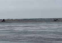 Счастливое спасение: косатки благополучно вернулись в открытое море на Камчатке a4545261-8cab-478c-901e-93d8c1b132f3-6752b6e6