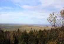 c6719a0c-12af-42b3-998e-1fb4e5ba6ebb-674c4881