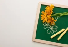 d27a56aa-0614-474b-9d31-a27f7c3000f2-675412b1