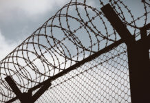 Драматичный инцидент с одним из пионеров российского интернета во время свидания в СИЗО Fence with a barbed wire