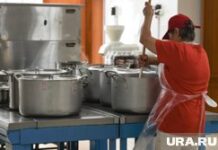 Инициатива по возобновлению проверок общепита для улучшения качества питания Летняя смена в детском лагере Заря Свердловская область