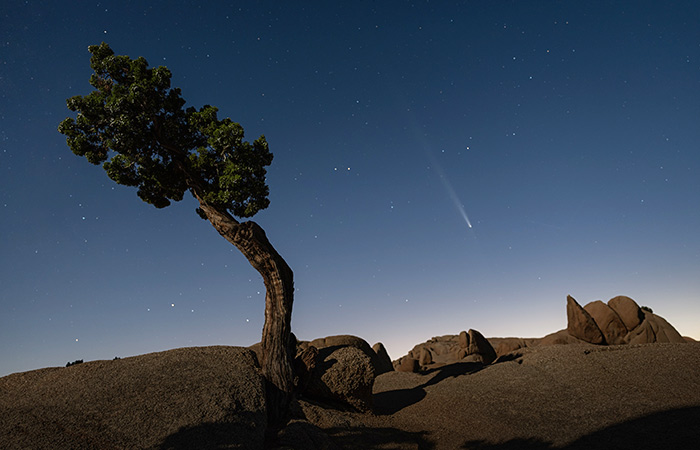 Что произошло в мире науки. Вечерний дайджест