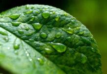 004afe5a-30e3-4f29-9f83-2a0c672e5485-67bded28