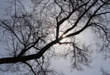 Трагический инцидент в заповеднике на Бали унес жизни туристов 31097577-8977-49c7-9d88-f1b34bb675b8-67abd308