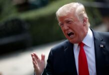 Гренландия твердо отстаивает свою независимость в ответ на заявление Трампа 3c19fb17-ed89-4e2b-825d-075378737ba2-67bcbb35