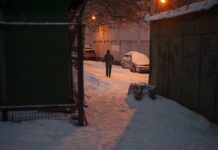 Москвичей ждет комфортная погода в новогодние праздники 3cd97e5f-a7fd-4498-ba93-bde829935753-67c30319