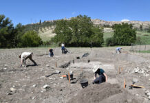 Удивительная находка: в Кувейте обнаружили древнейшую загадочную фигурку 477af503-3570-4189-9d76-0f45dfc50b55-67b78a30