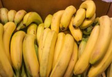 Крупнейший успех правоохранителей: в Латинской Америке предотвращена масштабная наркоторговля 565205d7-18d8-456f-8230-d2345bd3dcd5-67bea7c5