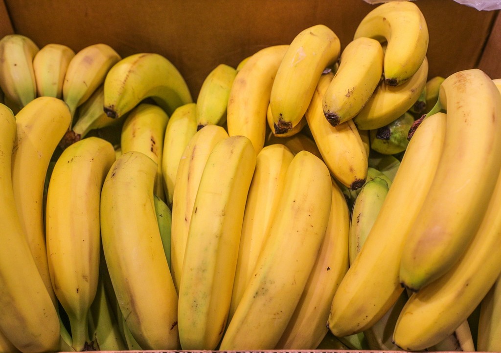 В Латинской Америке задержана крупнейшая партия наркотиков