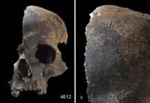 Археологи раскрыли тайну древнего захоронения в Великобритании бронзового века 61a0e840-e985-436b-9ea4-0f1e677b2540-67b3b810