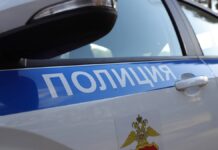 В Санкт-Петербурге раскрыто резонансное преступление благодаря эффективной работе полиции двух стран 61c426f2-6a19-4889-a16f-74b314304569-67ba63f6