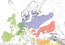 Генетики раскрыли удивительную связь между древними греками и армянами 620ad3d6-5ec0-41a1-ad85-2e14fd090d22-67c0baf1