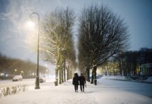 Петербург готовится к встрече снежного циклона «Яра» в выходные 669d44bd-bb62-4e72-8aff-b6f77a7231e4-67af8b7f