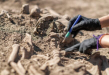 70edc3eb-bff1-4664-9b52-2ecd54d612c4-67c49321