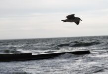 Хронология спасательной операции двух танкеров в Керченском проливе af6fd851-e930-4690-b383-3fa877442d73-67b214ed