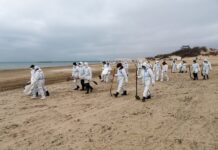 Российский футболист помог в очистке пляжей Краснодарского края от мазута b8d44c0c-cf61-4897-9d37-b6e6125da97a-67c0ed69