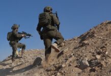 ba203c72-53c4-46c8-9177-85c34eece087-67c774b3