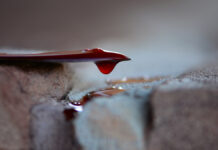 В Индии произошла трагическая история несчастной любви с неожиданным финалом BloodDropOnAMurdererKnife