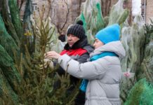 Лучшие способы сохранить живую елку свежей и душистой надолго da0a39e9-f49c-4617-84d8-014dcfab0937-67c2ee80