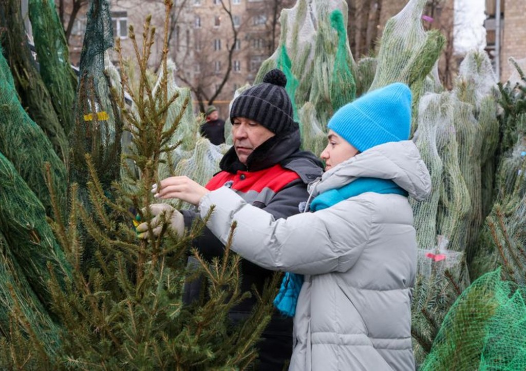 Флорист рассказал, как надолго сохранить свежесть елки