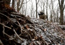 Командира бригады ВСУ задержали за чудовищные преступления против своих солдат dd81be50-dece-4fa0-b40a-65bbbd844e36-67c5774e