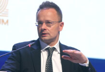 Телефонный разговор лидеров России и Венгрии открывает новые перспективы для мирного урегулирования ff528696-8741-432c-8c4b-8bf6b1c7d6b0-67acd13a