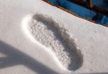 Эффективные способы повышения работоспособности в зимний период 0885cd9f-46df-406f-85d6-a38922aa1222-67db05cd