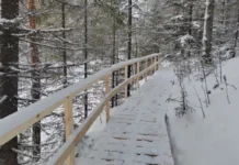 0a8eb890-7470-4740-9a27-9f7baef61213-67d55121