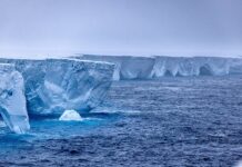 Надежда для острова Южная Георгия благоприятный прогноз по движению гигантского айсберга 1214868c-a676-4e4a-a78b-d4ac52d1e71c-67e7dc91