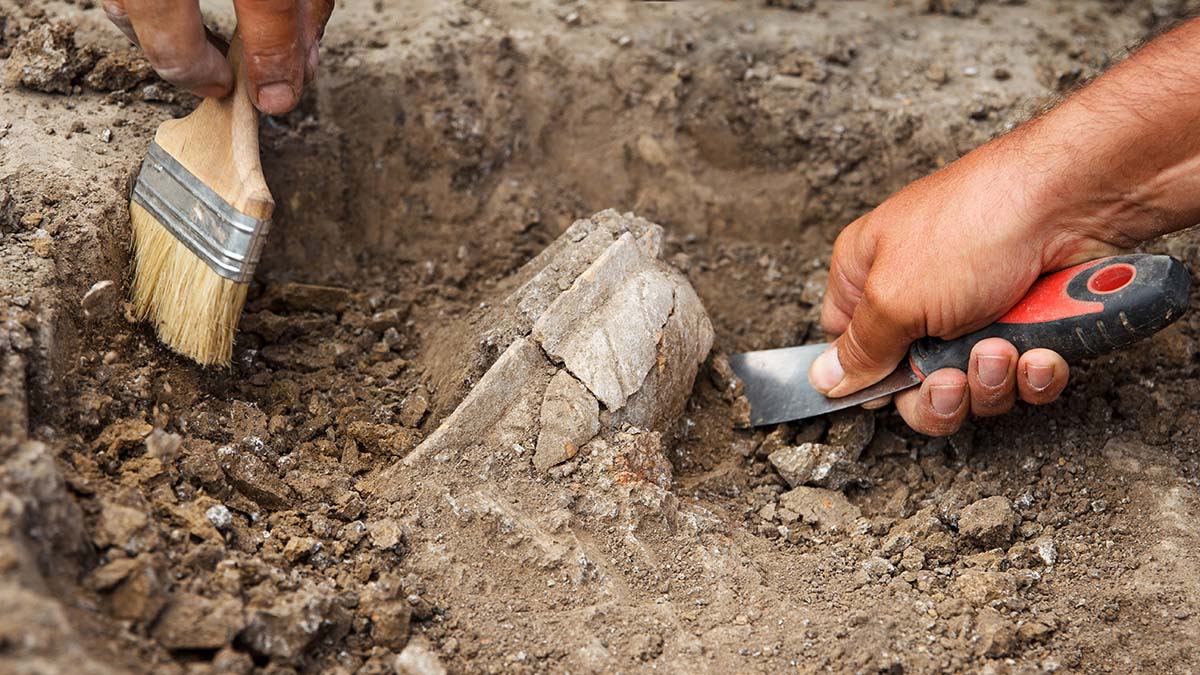 Немецкие ученые обнаружили древней череп нелетающей птицы Диатрима