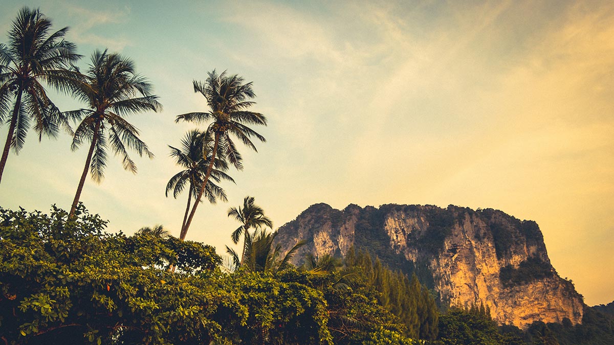 Житель тайской деревни обнаружил на берегу «инопланетного монстра»