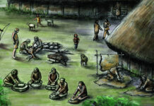 Рацион древних фермеров оказался богаче ожиданий 255391f8-a26e-4225-b627-87d3f4ee3507-67e18ead