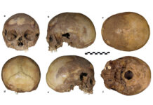 Новое исследование древних останков привело к неожиданному открытию 2aef921c-44ff-42f4-af8a-8f9ae294af6c-67d70e8d