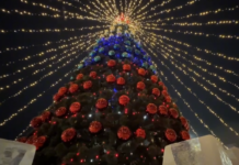 Великолепная новогодняя ёлка Приморья претендует на звание лучшей в стране 2fa3d70f-b494-4760-b78e-d92cc75ed482-67d5e76e