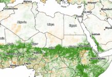 Глобальные изменения климата привели к рекордному количеству осадков на Земле 3162e86e-b680-4aa7-a0c7-74af23ab7001-67e1b18b