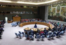 Скандальное появление неонациста в Совбезе ООН шокировало дипломатов 4f8371d0-aad1-41b0-bb5b-f7a41bd908b8-67d8eb11