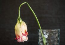 592ce2b8-1af7-4d2a-8e11-9ce4014aeefc-67e92a6b