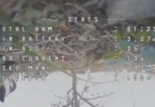 Отважный кот уничтожил вражеский дрон в героическом противостоянии 7a5cb091-73b0-4b24-9251-fcf16b3079fd-67cb7e44