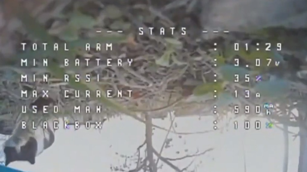 Кот сбил украинский дрон лапой в ДНР и попал на видео