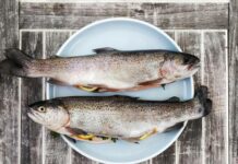 Исследования подтверждают безопасность черноморской рыбы 7a921901-9029-4c09-94fc-bd2efc729c33-67e6a358