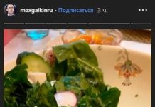 Пугачева побаловала Галкина свежими овощами из собственного огорода 82c644d8-3f52-4852-8101-01c1a9851105-67d082ab