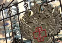 Эффективный метод выявления метапневмовируса представили специалисты 8631beef-e5a0-4064-a6b5-acd9c8b40a2e-67cdda19