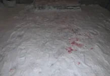 В Красноуральске произошла семейная трагедия: дети спасены и получают необходимую помощь 8ea51b6c-d1ce-44ba-a1f6-4ddcff21520f-67d3fd26