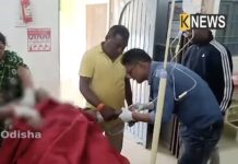 Нападение дикого медведя в индийском лесу привело к трагическим последствиям 8f6f0b87-2938-4370-9d5a-3fcac6bbcc4c-67e3586e