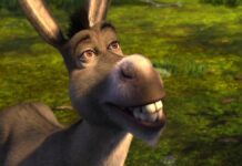 Наследие Перри: как ослик из "Шрека" подарил миру радость и вдохновение 92c51679-73fd-42e7-86b1-de7472eb0b55-67cd1b7c