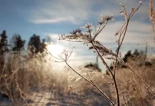 946d6537-3146-4cd4-839c-29be76d912e7-67debd9e